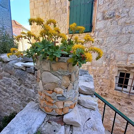 Megi In Historical Core Supetar